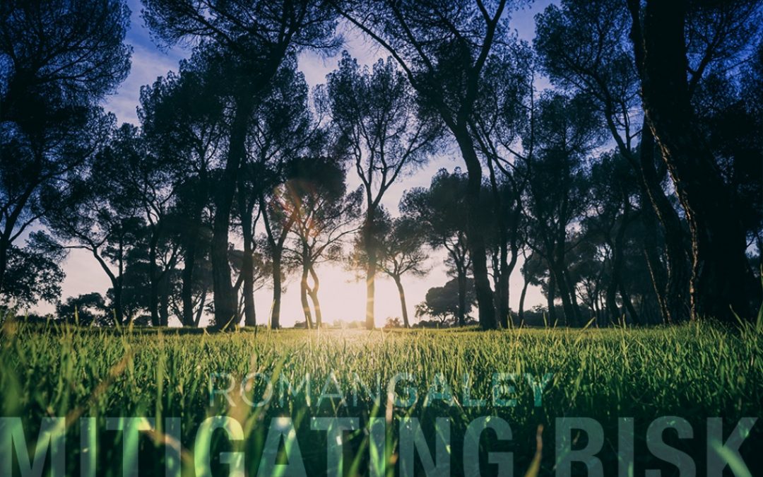 Mitigating Risk In Land and Property Acquisitions